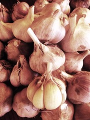 Чеснок продам Чеснок на посадку Семена
